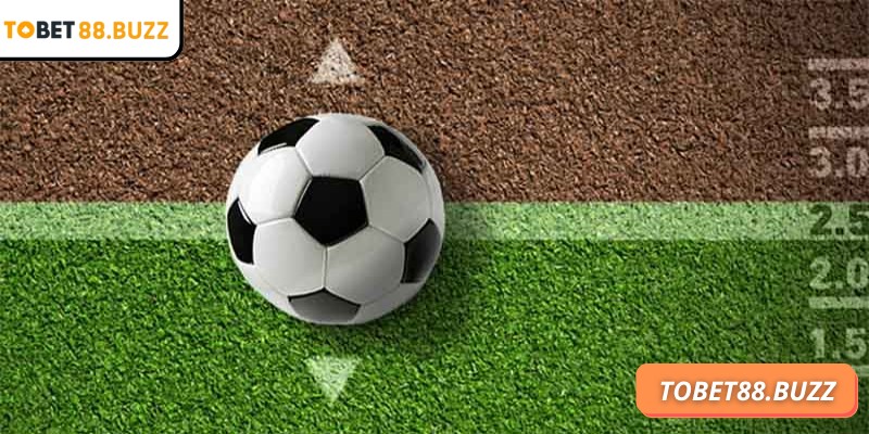 Đặt cược dựa trên dự đoán hiệp 1 và kết quả cuối trận