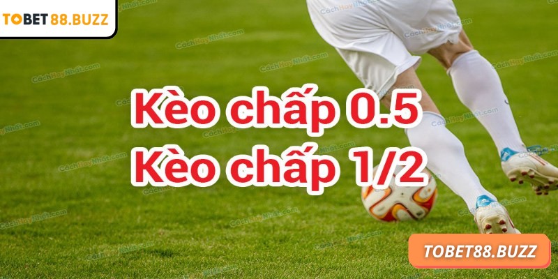 Kèo 1/2 ToBet88 phù hợp với những ai muốn tận dụng dữ liệu hiệp đấu