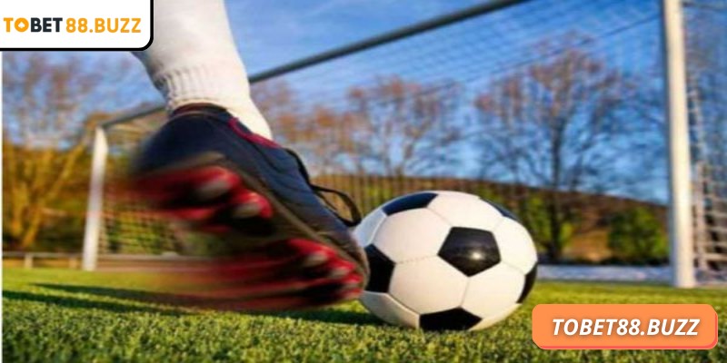 Kèo sớm ToBet88 – Bí quyết đón đầu tỷ lệ và tối ưu cơ hội 1 Kèo sớm ToBet88 đem lại tỷ suất hoàn vốn tốt hơn